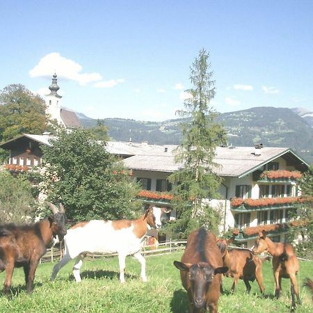 Отель Torrenerhof Голлинг-на-Хальцахе Экстерьер фото