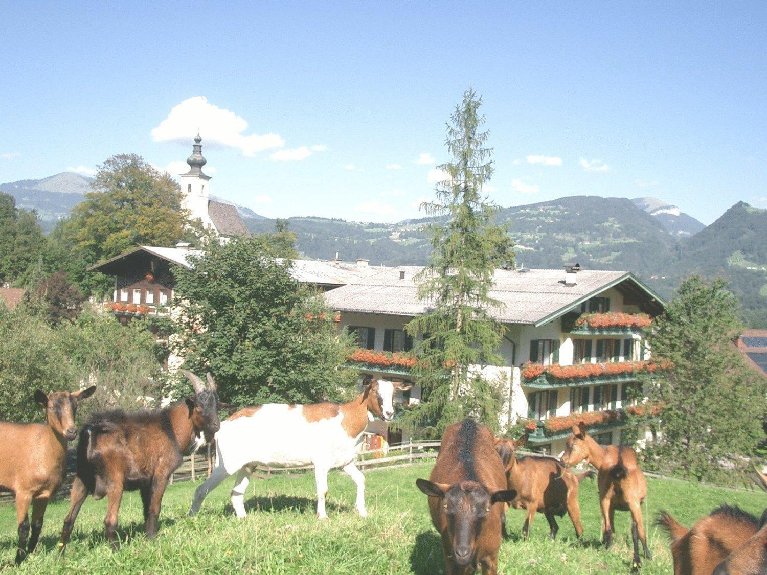 Отель Torrenerhof Голлинг-на-Хальцахе Экстерьер фото